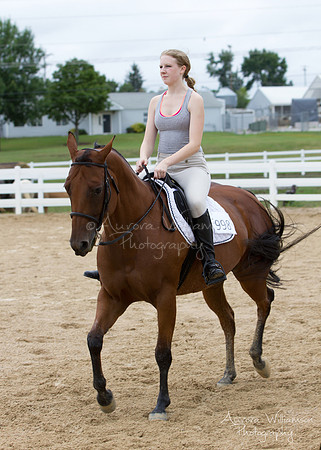 Iowa Buckskin Horse Association (IBHA) Congress