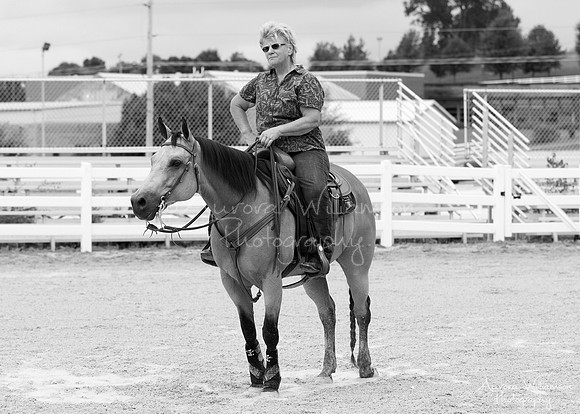 Iowa Buckskin Horse Association (IBHA) Congress