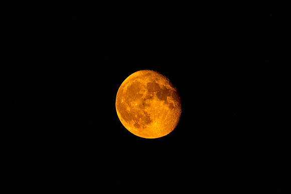 Moon in August