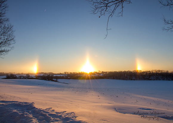 Sundogs