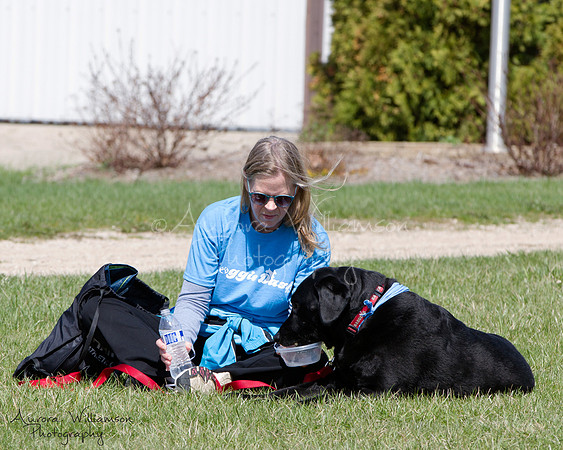 Second Chance Fund - Doggie Dash