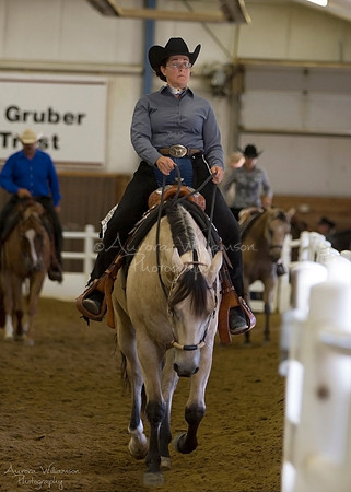 Iowa Buckskin Horse Association (IBHA) Congress