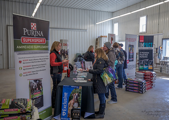 Purina Q & A