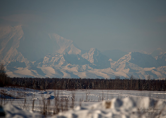 View of Denali from Willow, Alaska