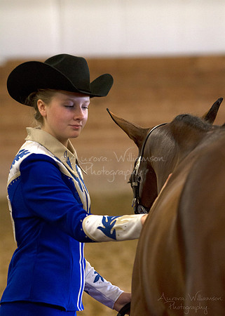 Iowa Buckskin Horse Association (IBHA) Congress