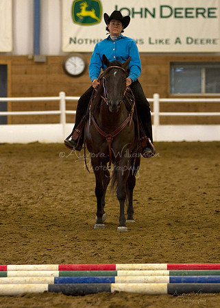 Iowa Buckskin Horse Association (IBHA) Congress