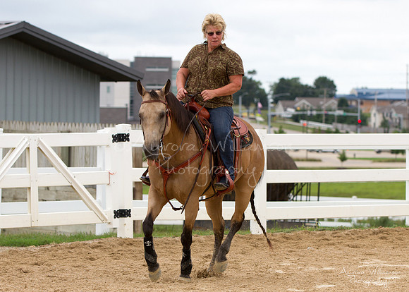Iowa Buckskin Horse Association (IBHA) Congress