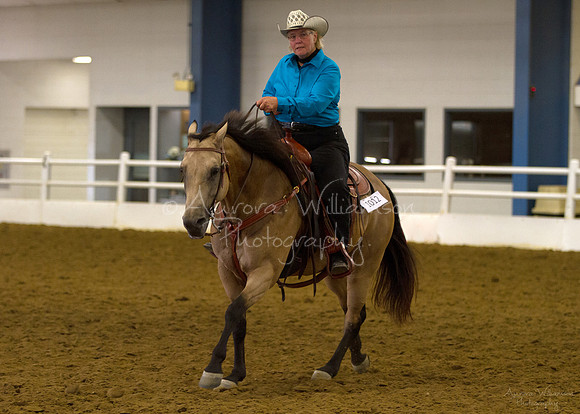 Iowa Buckskin Horse Association (IBHA) Congress