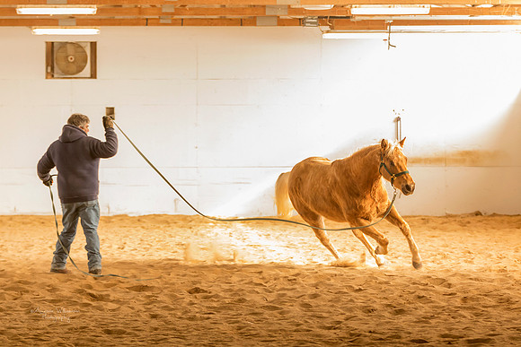 She lets Brad walk right up and re-clip lead. Every time.