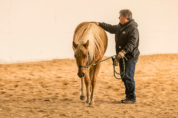 Clearly a special horse
