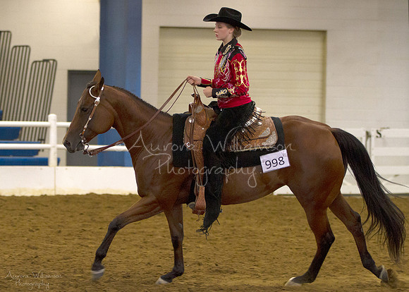 Iowa Buckskin Horse Association (IBHA) Congress