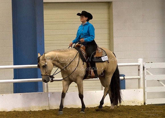 Iowa Buckskin Horse Association (IBHA) Congress