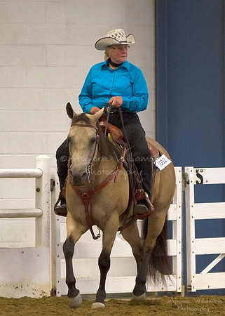 Iowa Buckskin Horse Association (IBHA) Congress