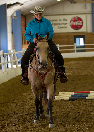 Iowa Buckskin Horse Association (IBHA) Congress