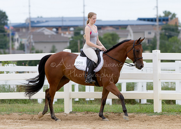 Iowa Buckskin Horse Association (IBHA) Congress
