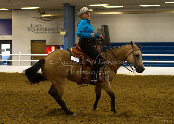 Iowa Buckskin Horse Association (IBHA) Congress