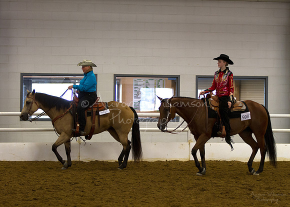 Iowa Buckskin Horse Association (IBHA) Congress