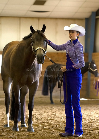 Iowa Buckskin Horse Association (IBHA) Congress