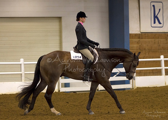 Iowa Buckskin Horse Association (IBHA) Congress