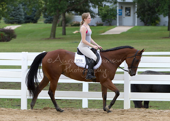 Iowa Buckskin Horse Association (IBHA) Congress