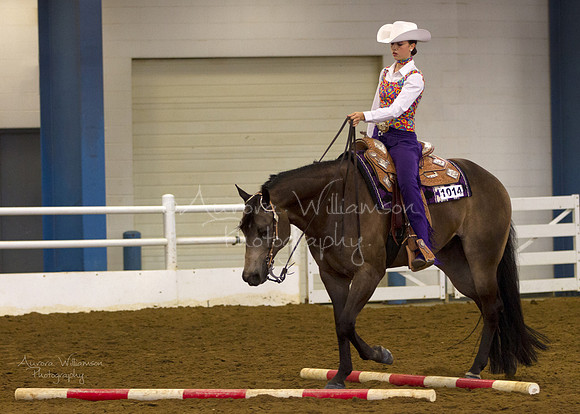 Iowa Buckskin Horse Association (IBHA) Congress