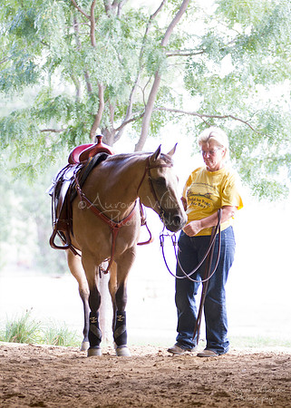 Iowa Buckskin Horse Association (IBHA) Congress
