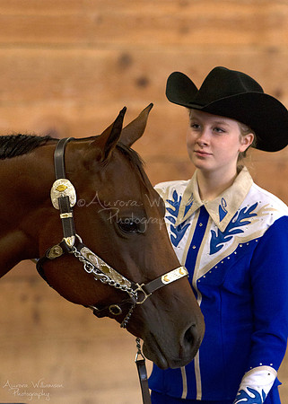 Iowa Buckskin Horse Association (IBHA) Congress