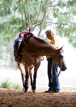 Iowa Buckskin Horse Association (IBHA) Congress