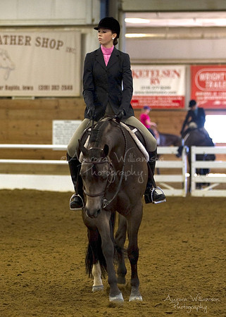 Iowa Buckskin Horse Association (IBHA) Congress