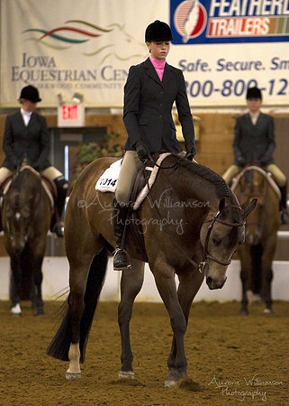 Iowa Buckskin Horse Association (IBHA) Congress