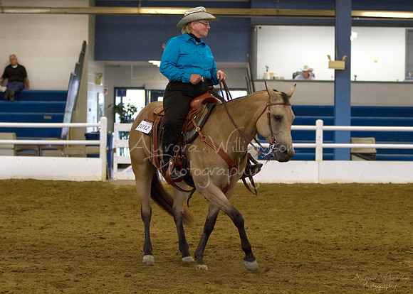 Iowa Buckskin Horse Association (IBHA) Congress