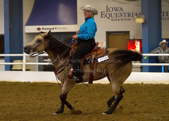 Iowa Buckskin Horse Association (IBHA) Congress