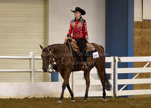 Iowa Buckskin Horse Association (IBHA) Congress