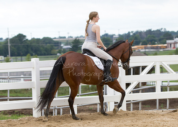 Iowa Buckskin Horse Association (IBHA) Congress