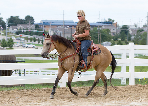 Iowa Buckskin Horse Association (IBHA) Congress