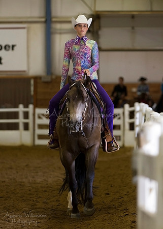 Iowa Buckskin Horse Association (IBHA) Congress