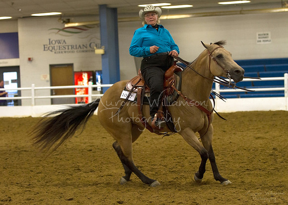 Iowa Buckskin Horse Association (IBHA) Congress