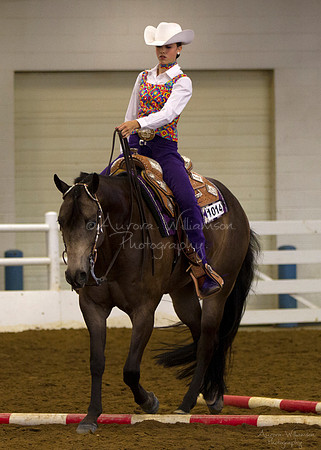 Iowa Buckskin Horse Association (IBHA) Congress