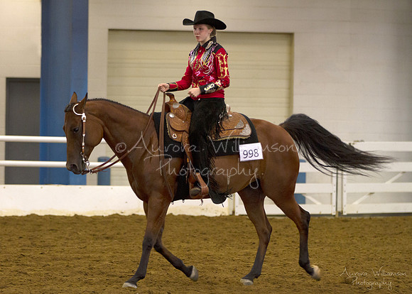 Iowa Buckskin Horse Association (IBHA) Congress