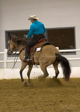 Iowa Buckskin Horse Association (IBHA) Congress
